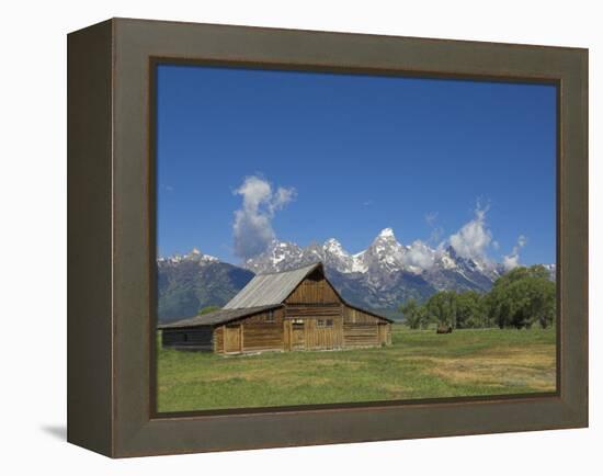 Mormon Row Barn and a Bison, Jackson Hole, Grand Teton National Park, Wyoming, USA-Neale Clarke-Framed Premier Image Canvas