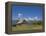 Mormon Row Barn and a Bison, Jackson Hole, Grand Teton National Park, Wyoming, USA-Neale Clarke-Framed Premier Image Canvas