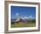 Mormon Row Barn and a Bison, Jackson Hole, Grand Teton National Park, Wyoming, USA-Neale Clarke-Framed Photographic Print