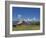 Mormon Row Barn and a Bison, Jackson Hole, Grand Teton National Park, Wyoming, USA-Neale Clarke-Framed Photographic Print