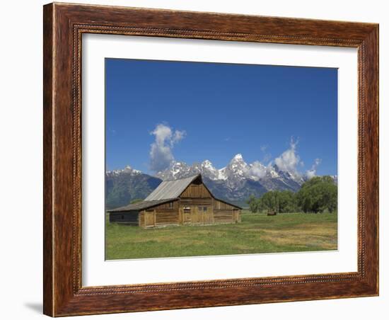 Mormon Row Barn and a Bison, Jackson Hole, Grand Teton National Park, Wyoming, USA-Neale Clarke-Framed Photographic Print