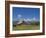 Mormon Row Barn and a Bison, Jackson Hole, Grand Teton National Park, Wyoming, USA-Neale Clarke-Framed Photographic Print