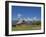 Mormon Row Barn and a Bison, Jackson Hole, Grand Teton National Park, Wyoming, USA-Neale Clarke-Framed Photographic Print