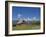 Mormon Row Barn and a Bison, Jackson Hole, Grand Teton National Park, Wyoming, USA-Neale Clarke-Framed Photographic Print