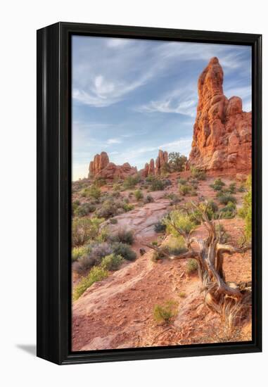 Morning Among Sandstone, Southern Utah-Vincent James-Framed Premier Image Canvas