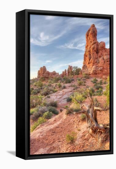 Morning Among Sandstone, Southern Utah-Vincent James-Framed Premier Image Canvas