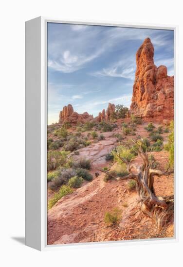 Morning Among Sandstone, Southern Utah-Vincent James-Framed Premier Image Canvas