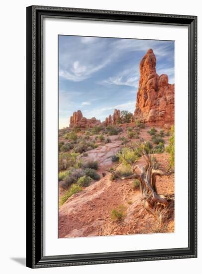 Morning Among Sandstone, Southern Utah-Vincent James-Framed Premium Photographic Print