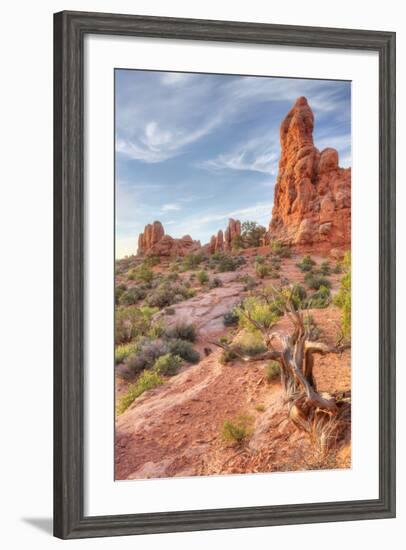 Morning Among Sandstone, Southern Utah-Vincent James-Framed Premium Photographic Print