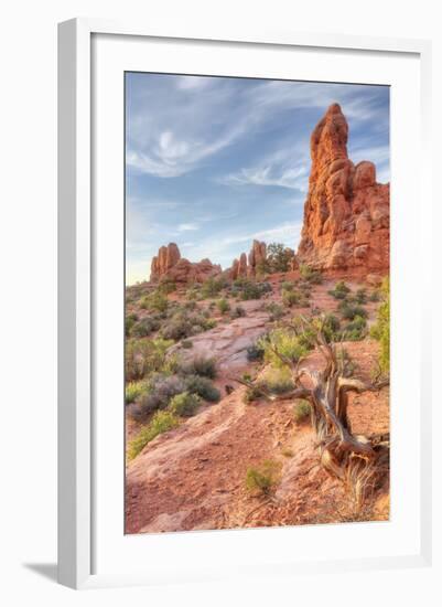 Morning Among Sandstone, Southern Utah-Vincent James-Framed Premium Photographic Print