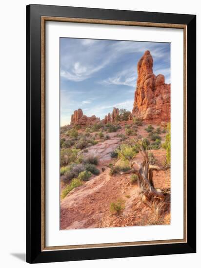 Morning Among Sandstone, Southern Utah-Vincent James-Framed Photographic Print