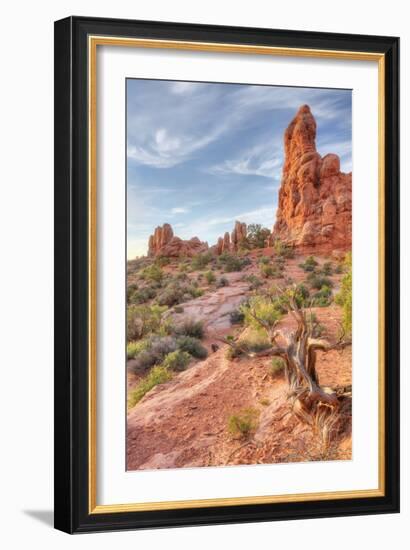 Morning Among Sandstone, Southern Utah-Vincent James-Framed Photographic Print