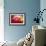 Morning Annoucements-Philippe Sainte-Laudy-Framed Photographic Print displayed on a wall