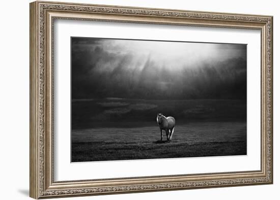 Morning Appearance-Peter Svoboda-Framed Giclee Print