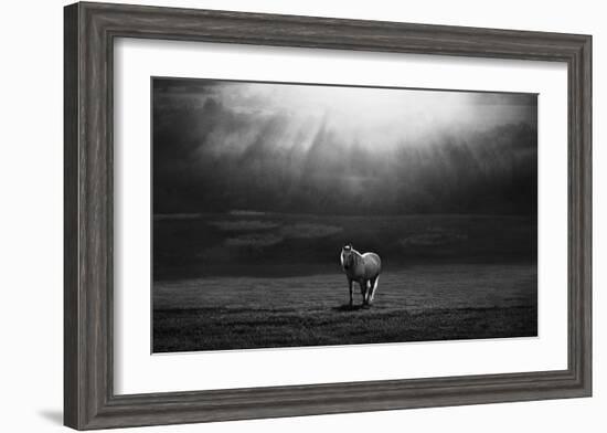 Morning Appearance-Peter Svoboda-Framed Giclee Print