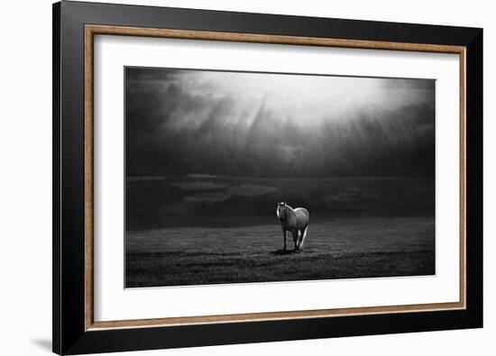 Morning Appearance-Peter Svoboda-Framed Giclee Print