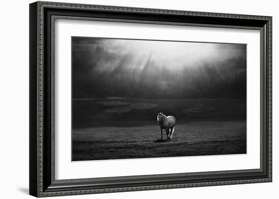 Morning Appearance-Peter Svoboda-Framed Giclee Print