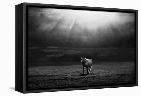 Morning Appearance-Peter Svoboda-Framed Premier Image Canvas