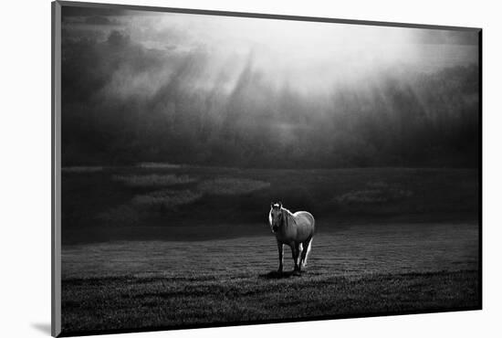 Morning Appearance-Peter Svoboda-Mounted Photographic Print