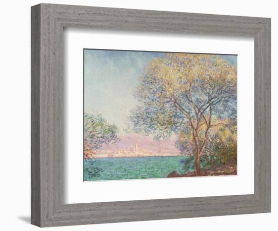 Morning at Antibes, 1888 (Oil on Canvas)-Claude Monet-Framed Giclee Print