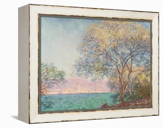 Morning at Antibes, 1888 (Oil on Canvas)-Claude Monet-Framed Premier Image Canvas