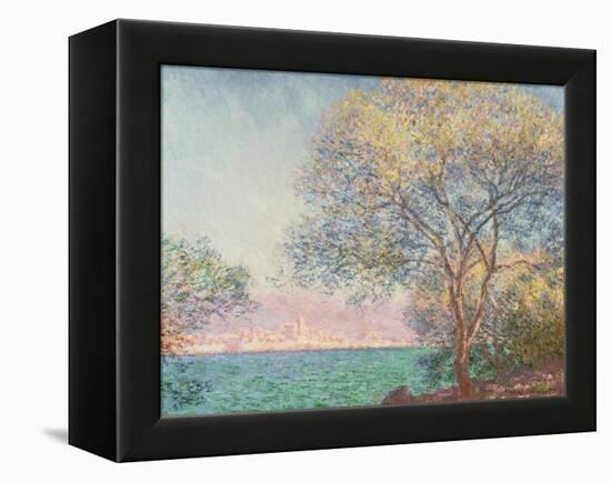 Morning at Antibes, 1888 (Oil on Canvas)-Claude Monet-Framed Premier Image Canvas