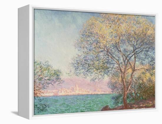 Morning at Antibes, 1888 (Oil on Canvas)-Claude Monet-Framed Premier Image Canvas