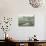 Morning at Edmonds Marsh-David Marty-Premium Giclee Print displayed on a wall