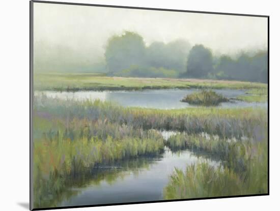 Morning at Edmonds Marsh-David Marty-Mounted Giclee Print