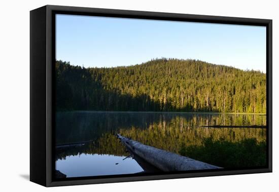 Morning at the Lake VI-Brian Moore-Framed Premier Image Canvas