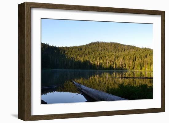 Morning at the Lake VI-Brian Moore-Framed Photographic Print