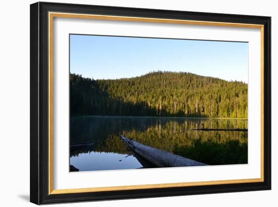 Morning at the Lake VI-Brian Moore-Framed Photographic Print