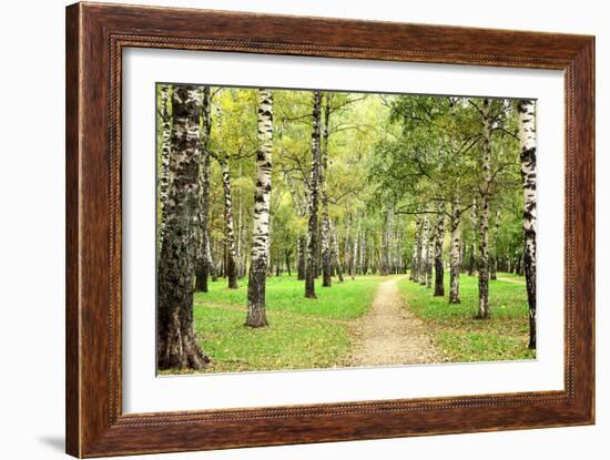 Morning Autumn Birch Grove in the End of September-LeniKovaleva-Framed Photographic Print