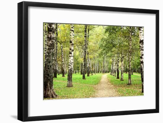 Morning Autumn Birch Grove in the End of September-LeniKovaleva-Framed Photographic Print