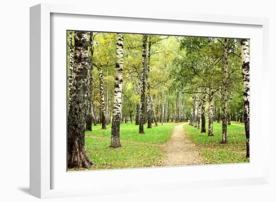 Morning Autumn Birch Grove in the End of September-LeniKovaleva-Framed Photographic Print