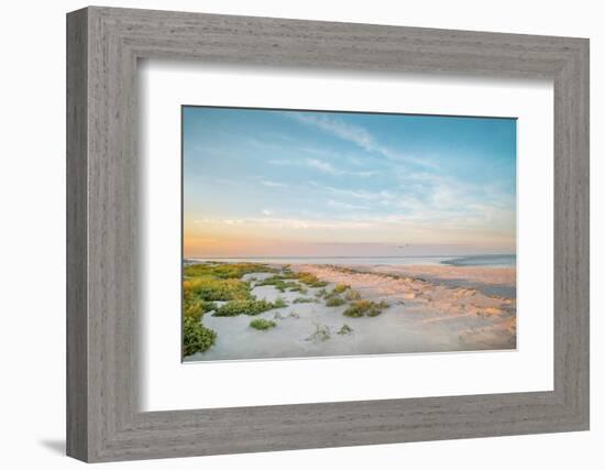 Morning Beach-Brooke T. Ryan-Framed Photographic Print