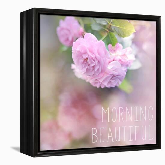 Morning Beautiful-Sarah Gardner-Framed Stretched Canvas