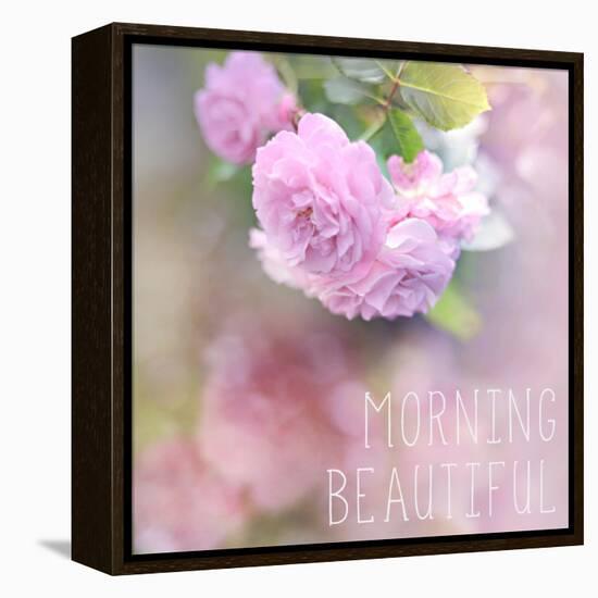 Morning Beautiful-Sarah Gardner-Framed Stretched Canvas