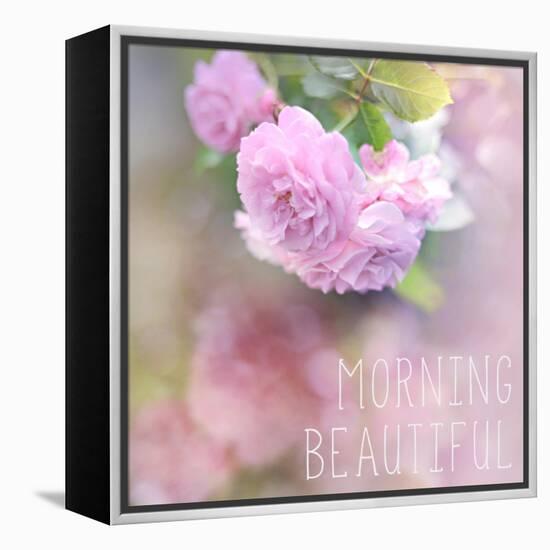 Morning Beautiful-Sarah Gardner-Framed Stretched Canvas