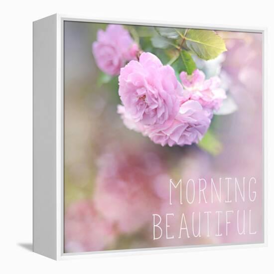 Morning Beautiful-Sarah Gardner-Framed Stretched Canvas