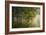 Morning Beauty-Norbert Maier-Framed Photographic Print