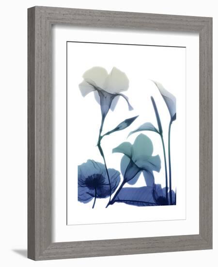 Morning Bloom 1-Albert Koetsier-Framed Premium Giclee Print