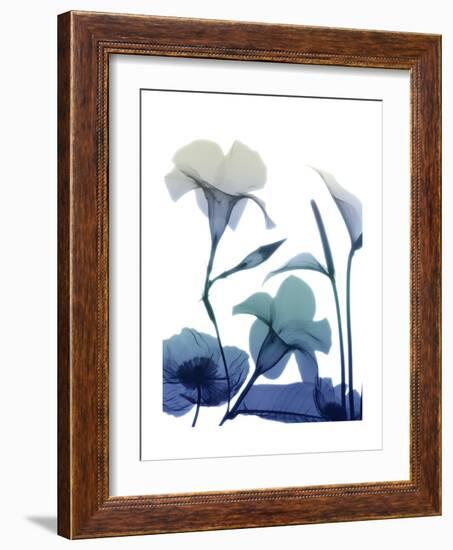 Morning Bloom 1-Albert Koetsier-Framed Premium Giclee Print