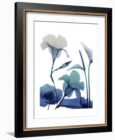 Morning Bloom 1-Albert Koetsier-Framed Premium Giclee Print