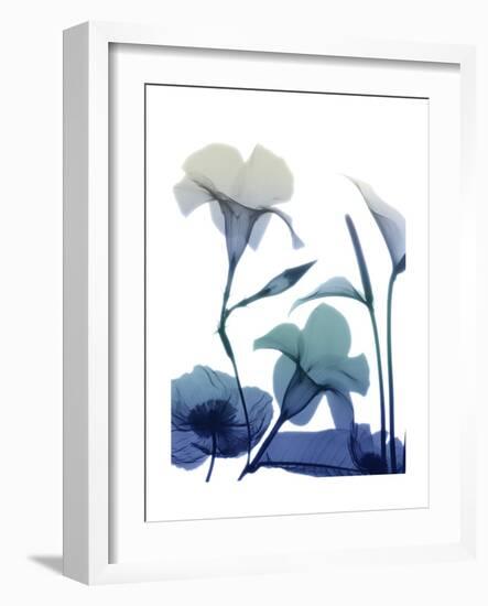 Morning Bloom 1-Albert Koetsier-Framed Premium Giclee Print