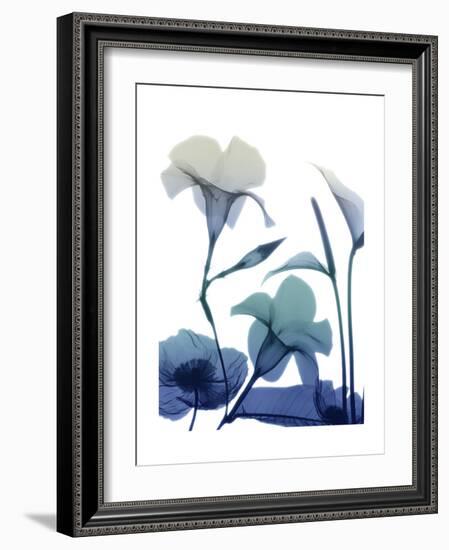 Morning Bloom 1-Albert Koetsier-Framed Premium Giclee Print