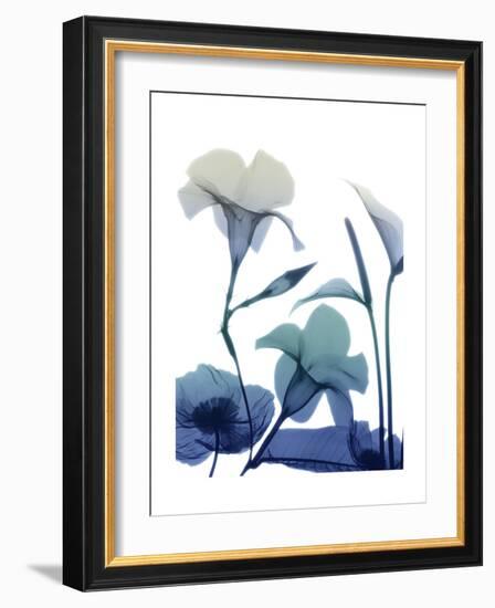 Morning Bloom 1-Albert Koetsier-Framed Premium Giclee Print