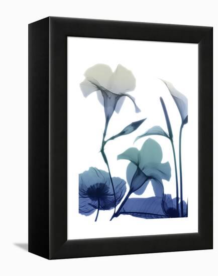 Morning Bloom 1-Albert Koetsier-Framed Stretched Canvas