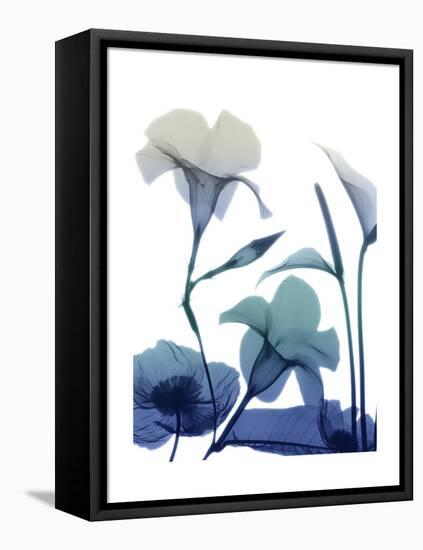 Morning Bloom 1-Albert Koetsier-Framed Stretched Canvas