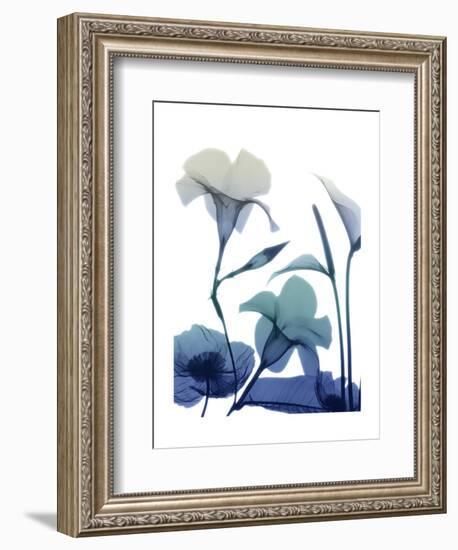 Morning Bloom 1-Albert Koetsier-Framed Art Print